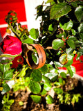 The Wooden Ring